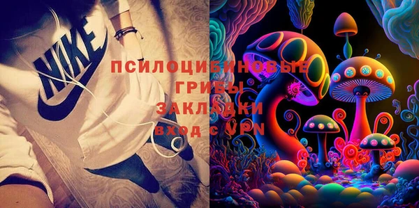 ешки Алексин