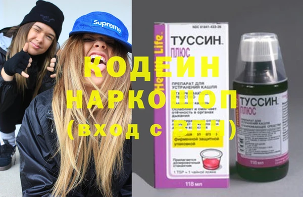 ешки Алексин
