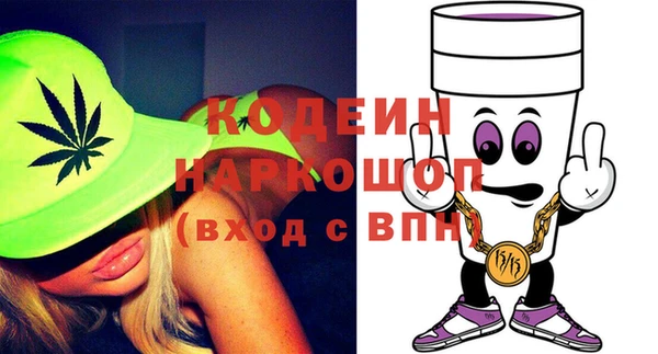 ECSTASY Алзамай